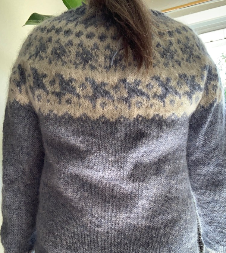 back of sweater showing yoke in white and blue