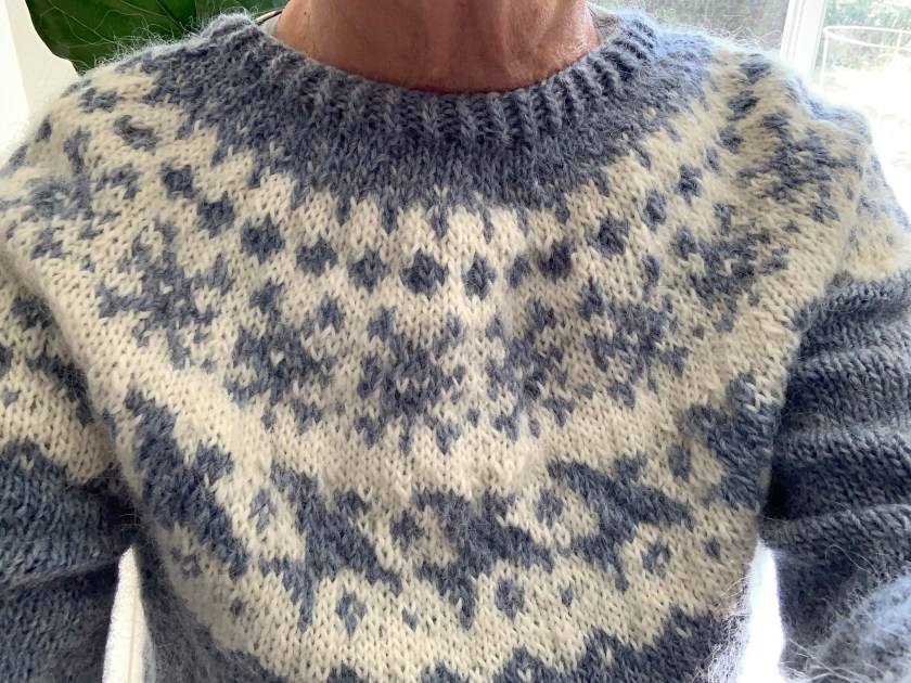 Yoke close up bird pattern Farfuglar sweater