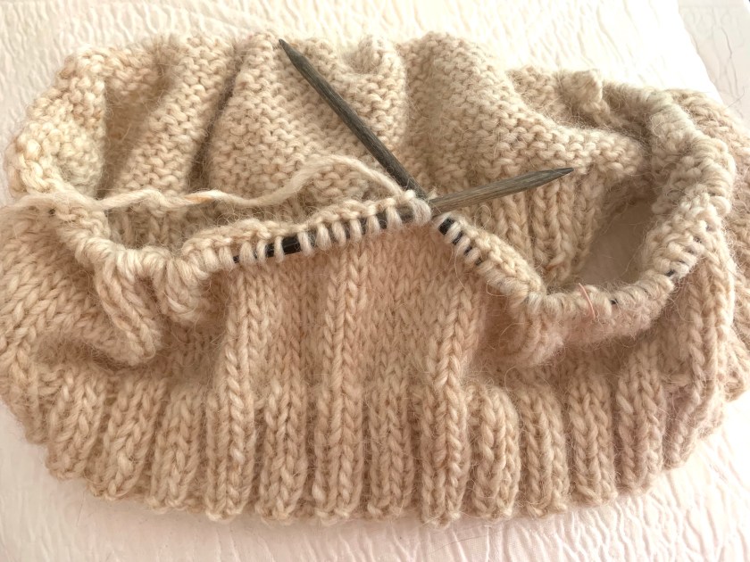 Carbeth cardigan body knitting