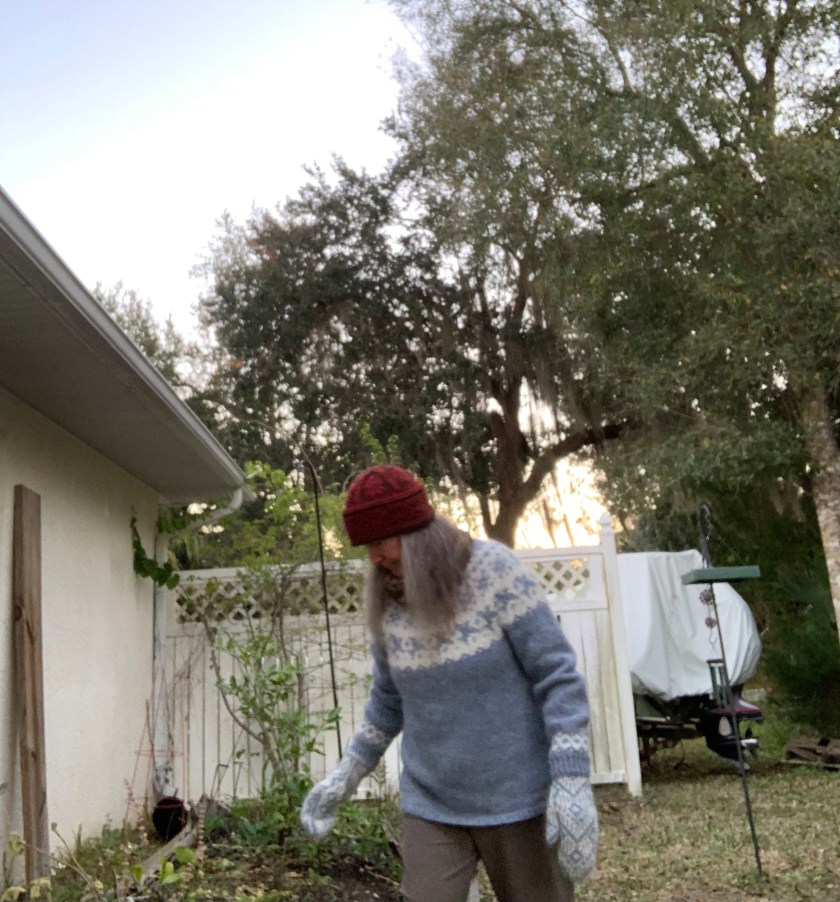 dressed for winter in Florida