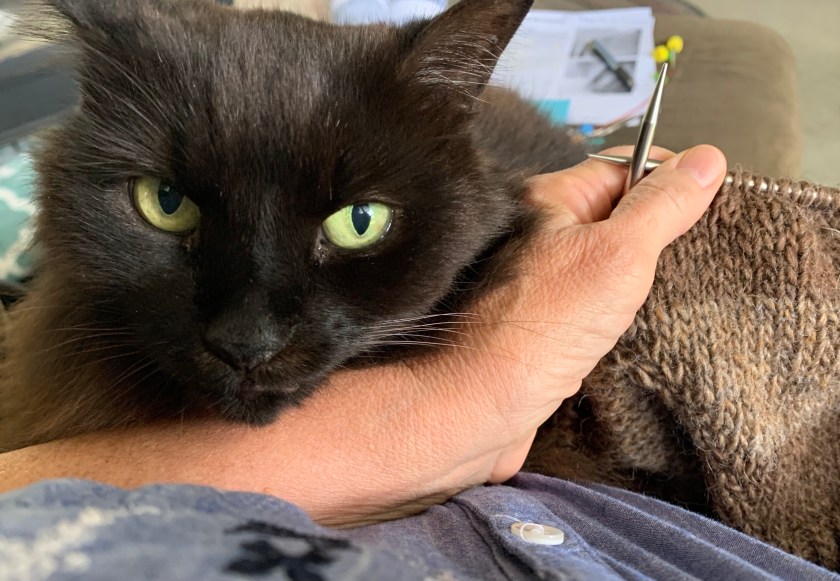 Fontana lap, knitting, warm up