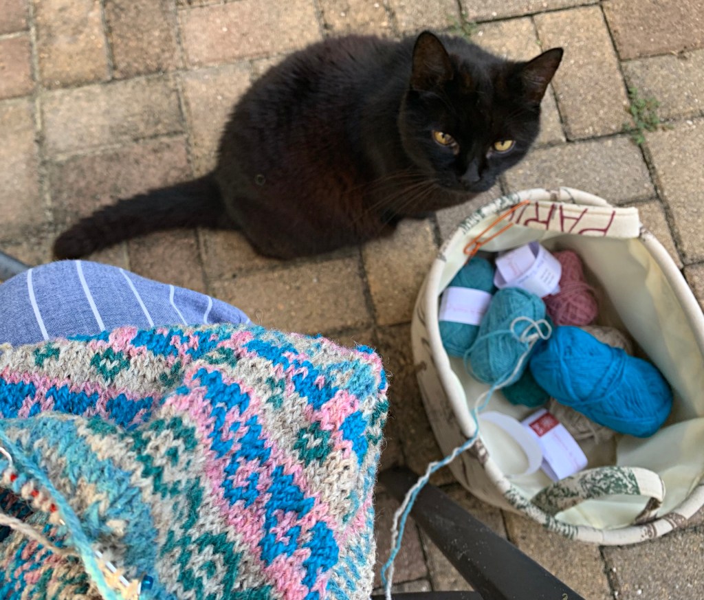 Outside knitting with Skittle keeping an eye on my yarn.