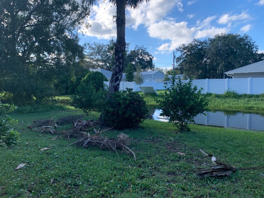 yard clean up from hurricane