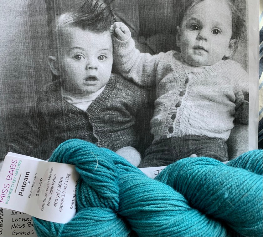 Playdate knitting pattern and blue yarn