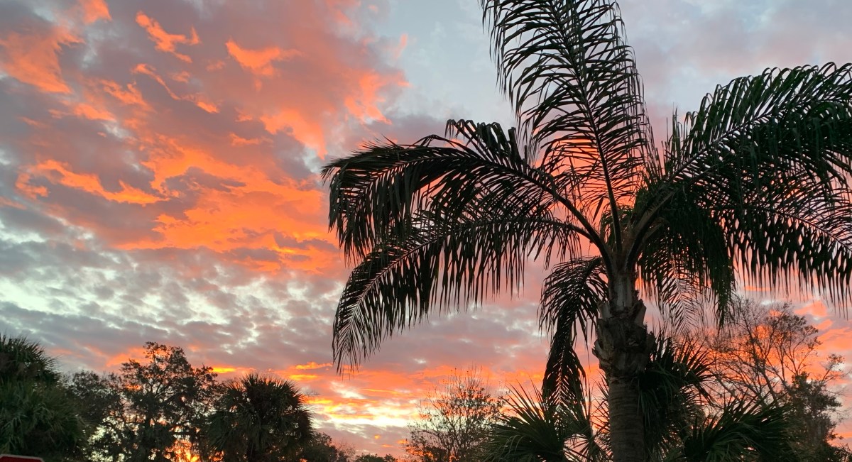 Knitting I’ve Done in&nbsp;2022