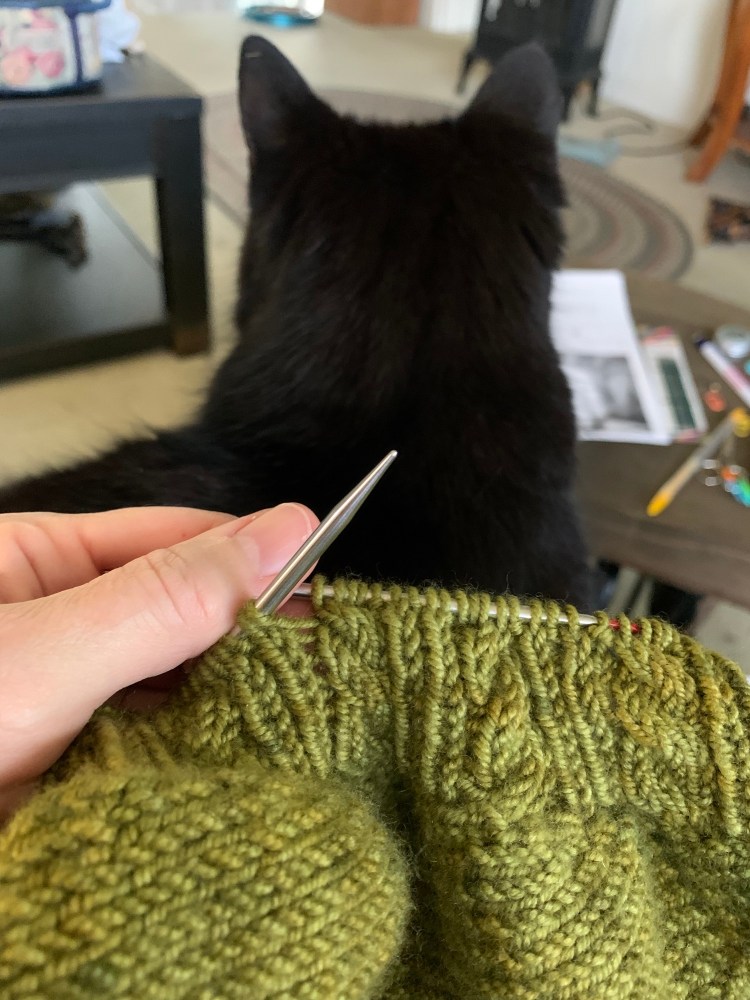 cats and knitting