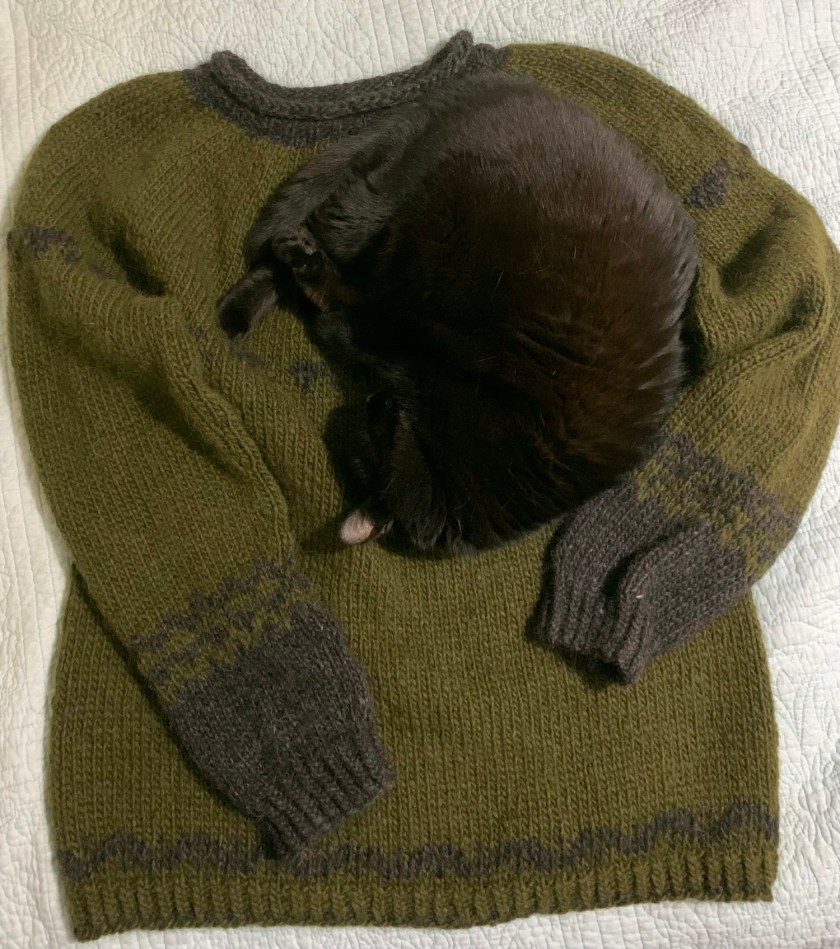 black cat sleeping on hand knit sweater