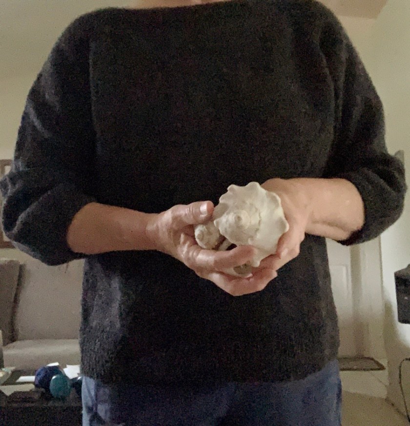 Blueberry Vodka Lemonade sweater knitting pattern