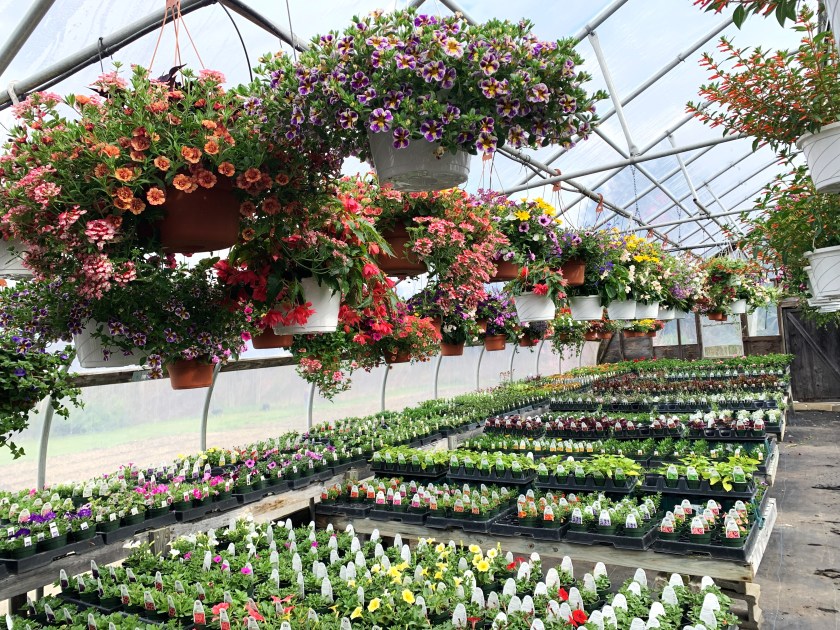 farmstand greenhouse