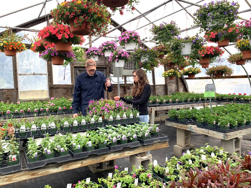 shopping at the farm