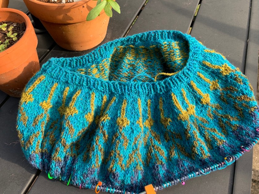 Solvi sweater colorwork yoke