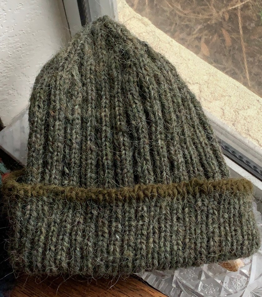 dual loop beanie