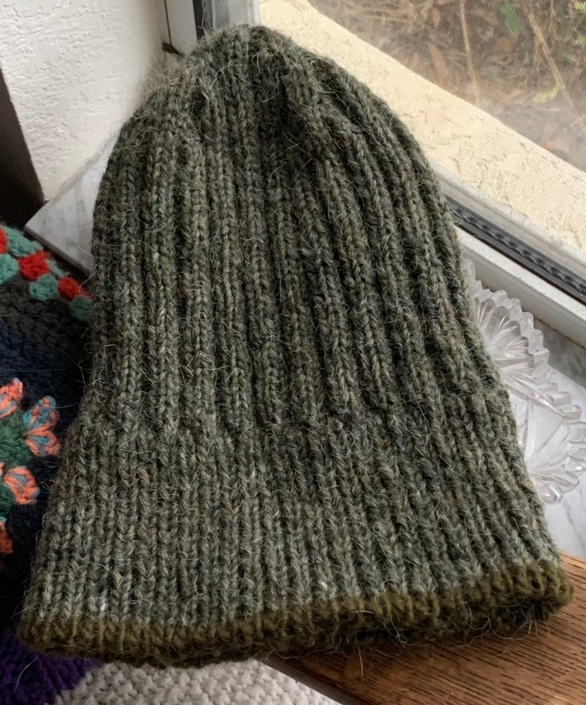 dual loop beanie