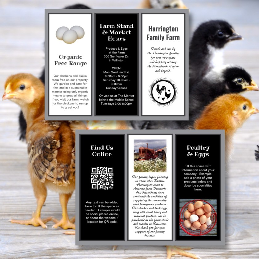chickens and eggs three page folded brochure with photo templates and text black and white.