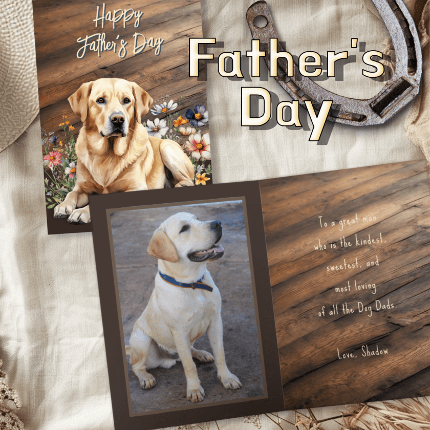 Fathers day cards collection link