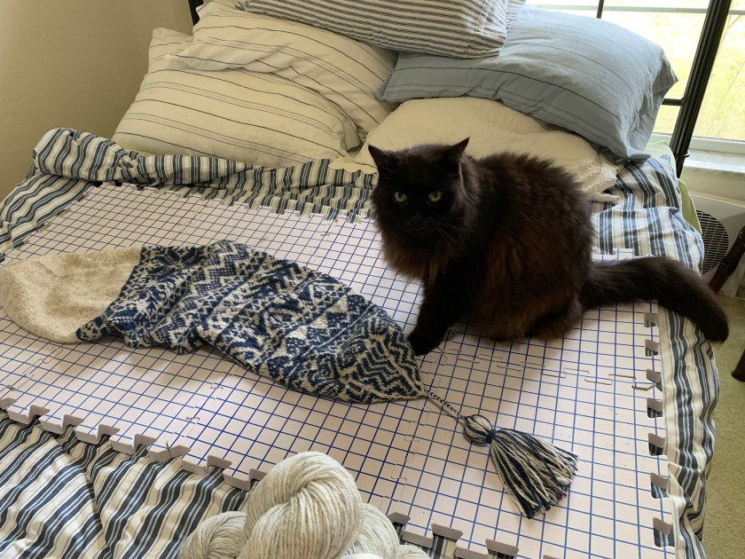 black cat on blocking mats with Doublemassa hat