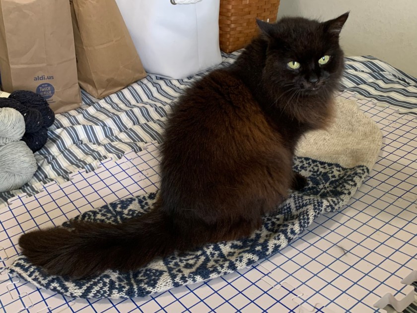 black cat sitting on colorwork hat project on drying boards