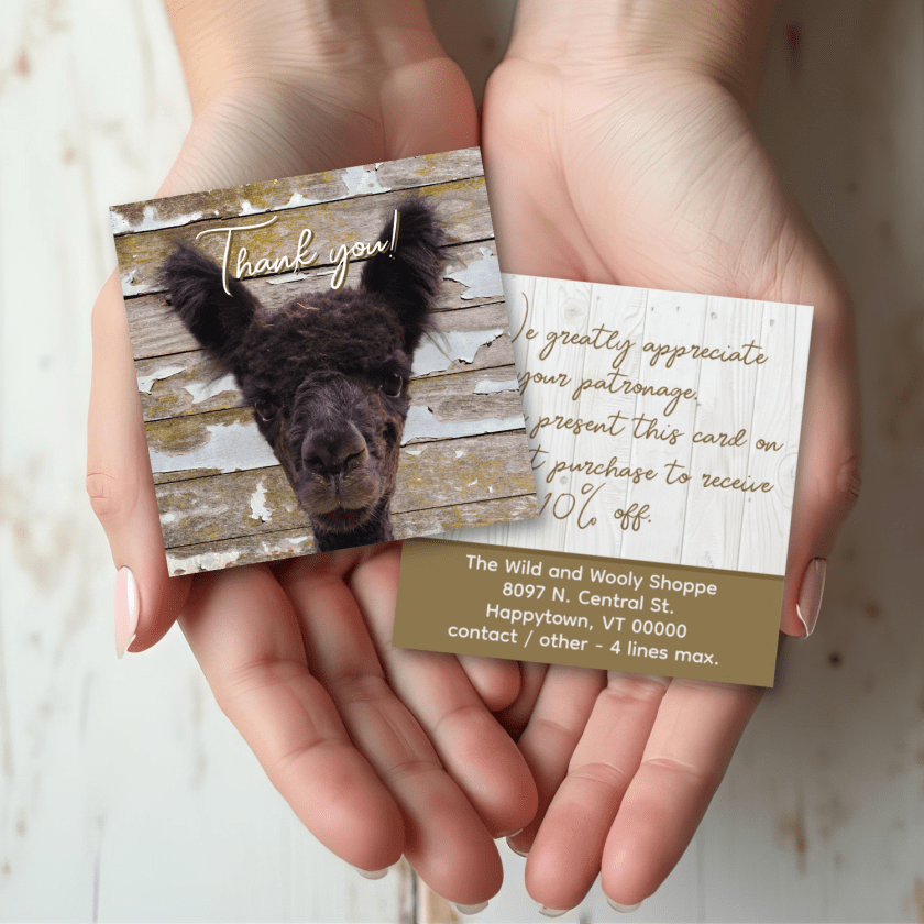 Alpaca square business cards