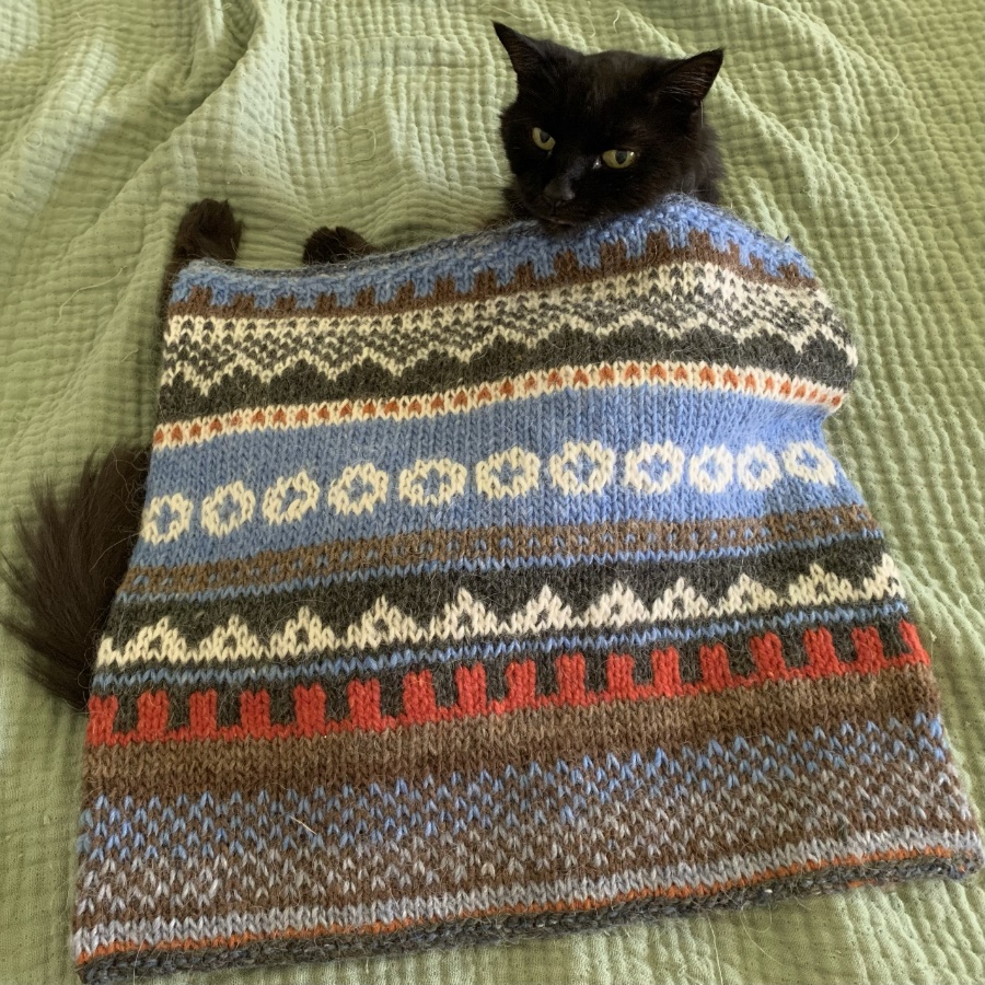 Hand knit Skibum chair pad on top of black cat